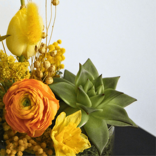 Immortelle