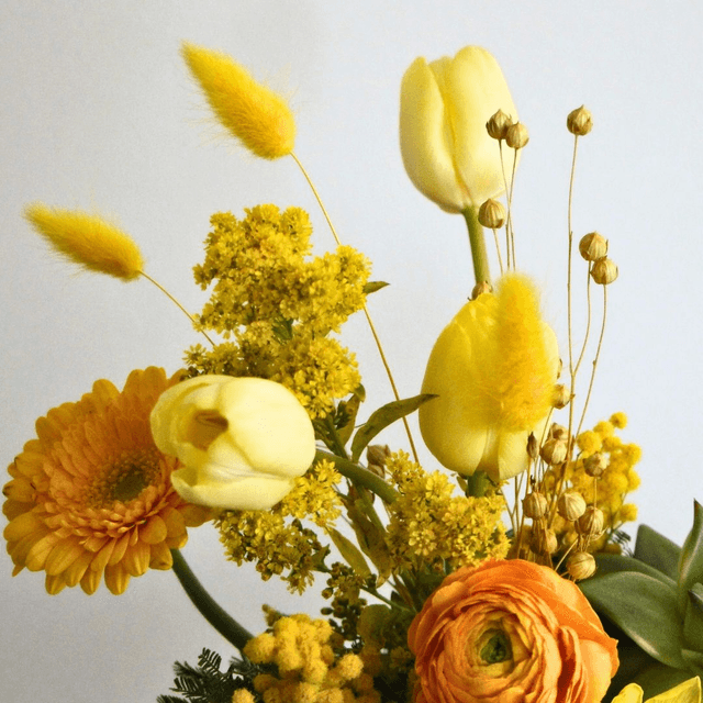 Immortelle