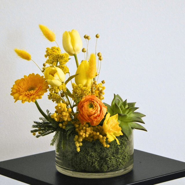 Immortelle