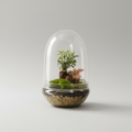 Biosfera
